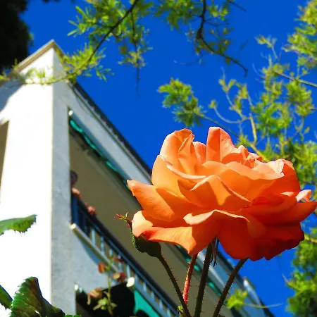 Apartament Stanicic Brela