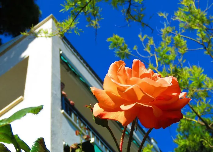 Appartamento Stanicic Brela